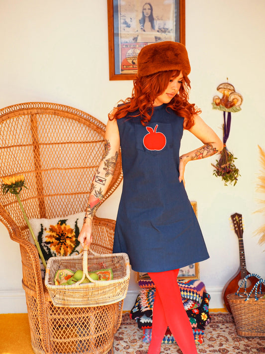 Harvest Hill Denim Apple Mini Dress